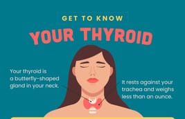 Thyroid.jpg